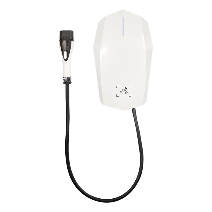 Electric Vehicle Home Charging Station