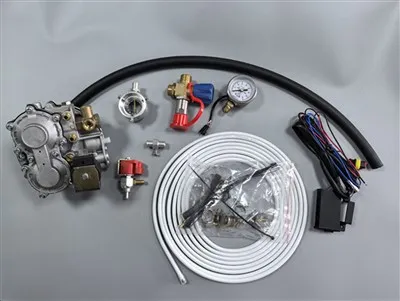 ISO9001 certificated CNG Kit for Tricycle Motor Carburetor